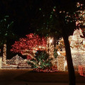 DSCF0007b.jpg