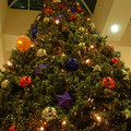 DSCF0019.JPG