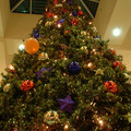 DSCF0020.JPG