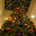 DSCF0021.JPG