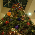 DSCF0023.JPG