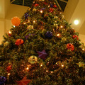 DSCF0024.JPG
