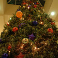 DSCF0025.JPG