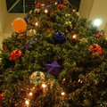 DSCF0026.JPG