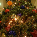 DSCF0027.JPG