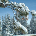 DSCF0156.JPG