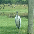 DSCF0074.JPG