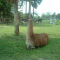 DSCF0076.JPG