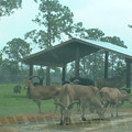 DSCF0081.JPG