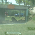 DSCF0086.JPG
