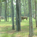 DSCF0088.JPG