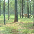 DSCF0089.JPG