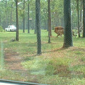 DSCF0090.JPG