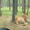 DSCF0091.JPG