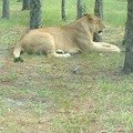 DSCF0092.JPG