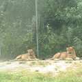 DSCF0093.JPG