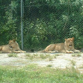 DSCF0094.JPG