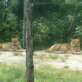 DSCF0095.JPG