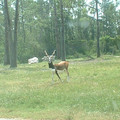 DSCF0096.JPG