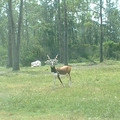 DSCF0097.JPG