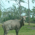DSCF0101.JPG
