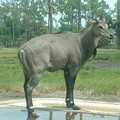 DSCF0102.JPG