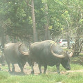 DSCF0104.JPG