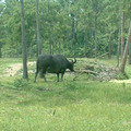 DSCF0108.JPG