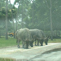 DSCF0113.JPG