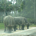 DSCF0114.JPG