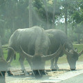 DSCF0115.JPG