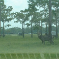 DSCF0119.JPG