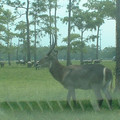 DSCF0120.JPG