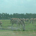 DSCF0121.JPG