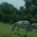 DSCF0127.JPG