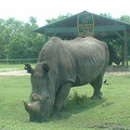 DSCF0128.JPG