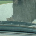 DSCF0129.JPG