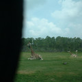 DSCF0132.JPG