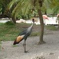 DSCF0133.JPG