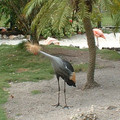 DSCF0134.JPG