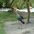 DSCF0135.JPG