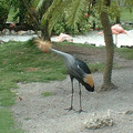 DSCF0136.JPG