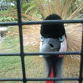 DSCF0137.JPG