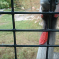 DSCF0138.JPG