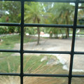 DSCF0139.JPG