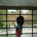 DSCF0140.JPG