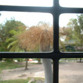 DSCF0141.JPG