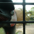DSCF0142.JPG