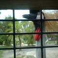 DSCF0143.JPG