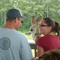 DSCF0145.JPG